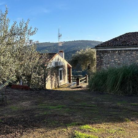 Casas Rurales Los Llanos Fuentes de León Exterior foto
