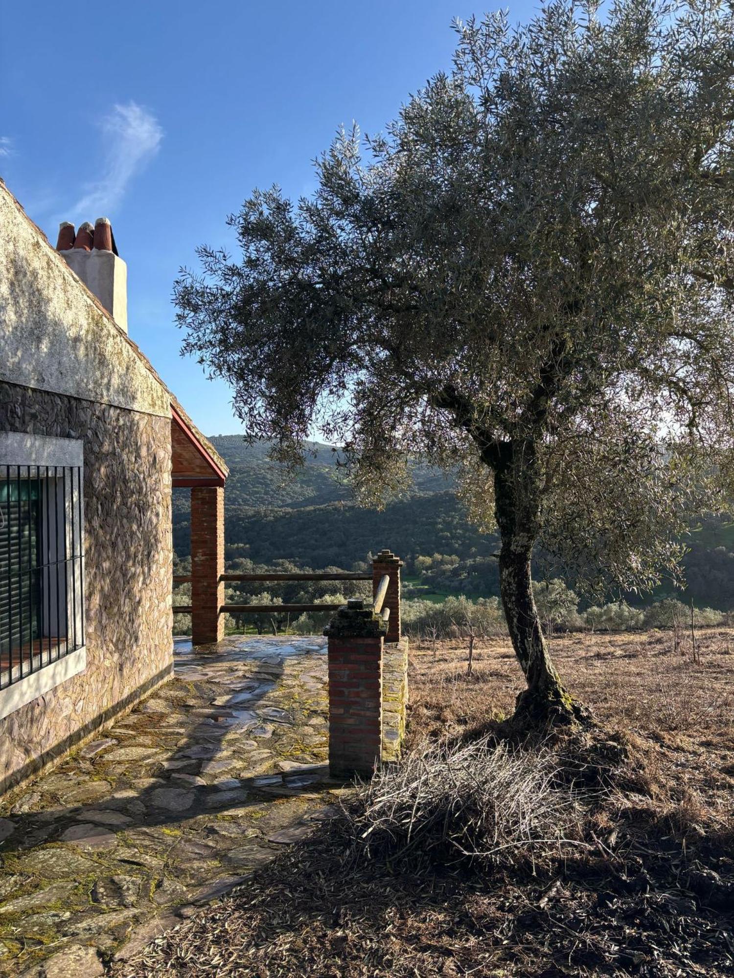 Casas Rurales Los Llanos Fuentes de León Exterior foto