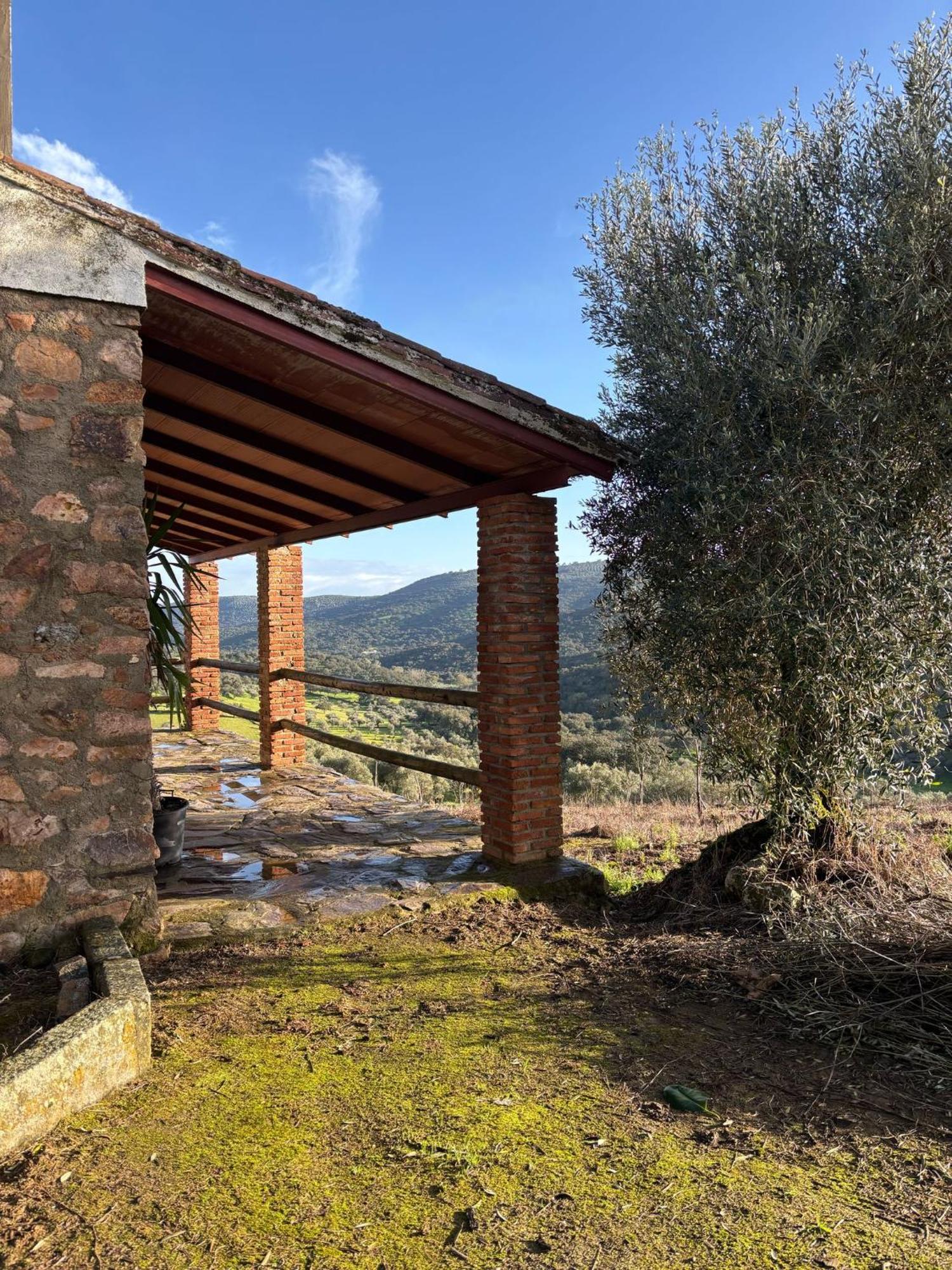 Casas Rurales Los Llanos Fuentes de León Exterior foto