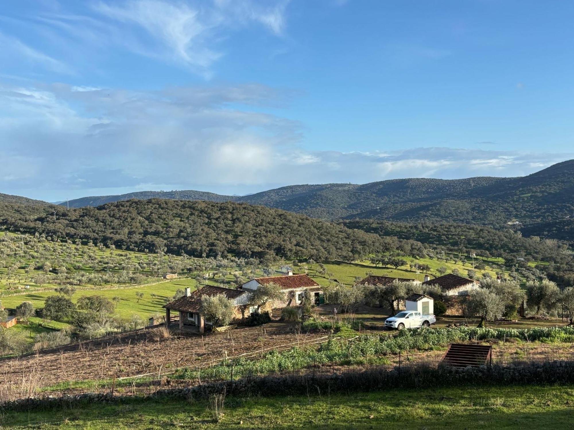 Casas Rurales Los Llanos Fuentes de León Exterior foto